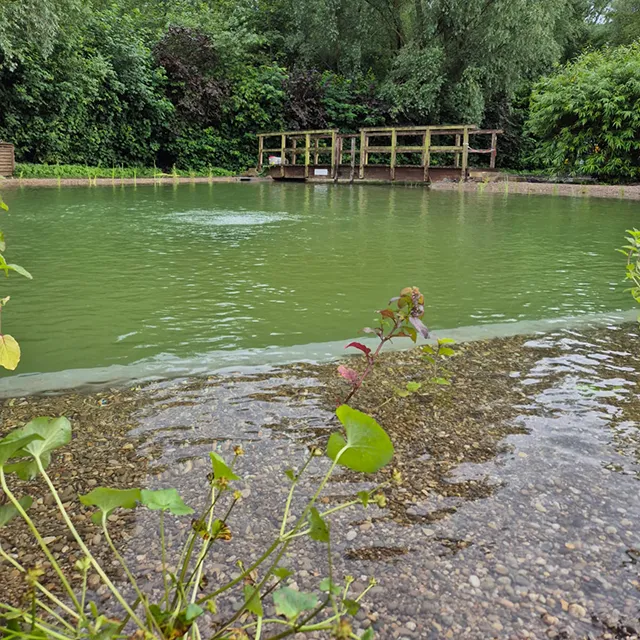 Blick auf den sanierten Naturbadteich