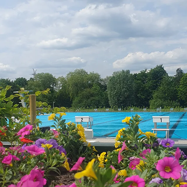 Blick auf das Schwimmerbecken mit zwei Startblöcken, im Vordergrund sind Blumen zu sehen